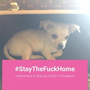 Meet your Posher, Kylo